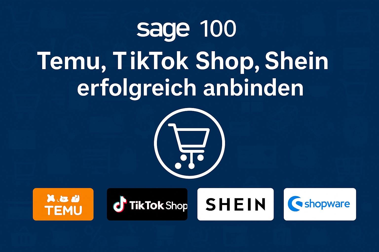 Sage 100 Temu, TikTok Shop, Shein erfolgreich anbinden
